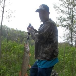 Meet your Posher, Roger